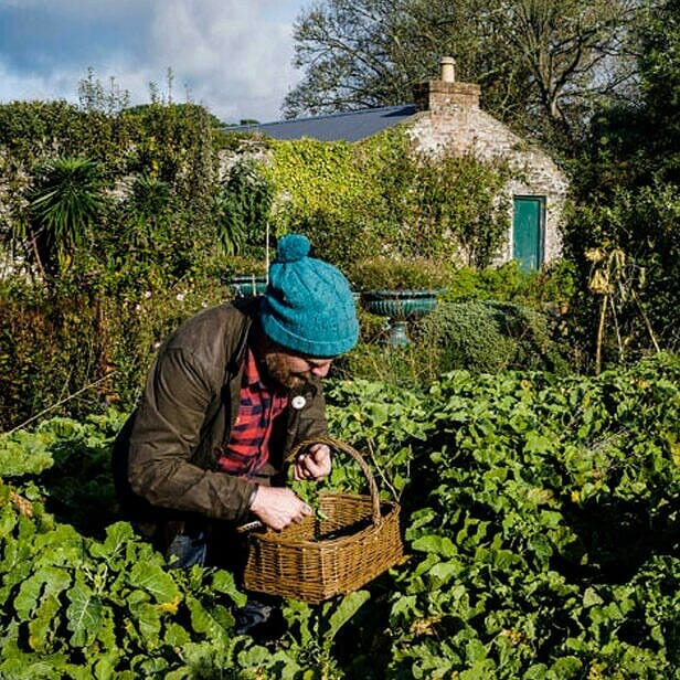 Sam in the Kitchen Garden, Glin Castle